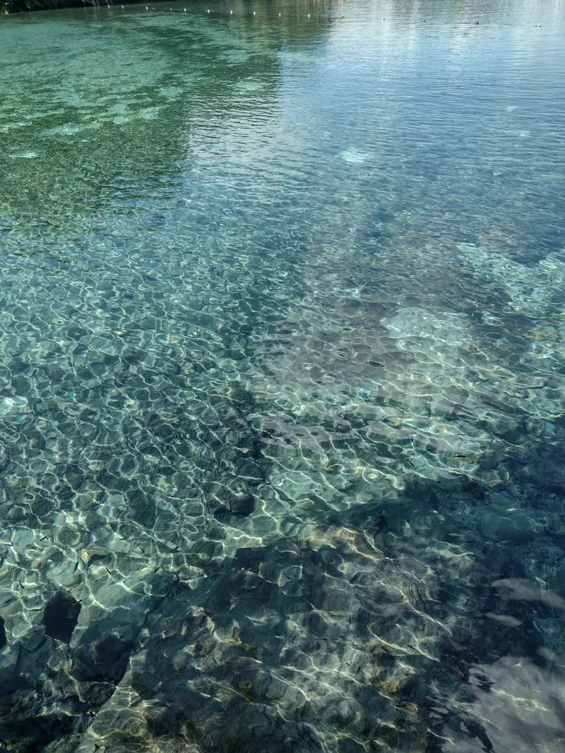 Água rasa e cristalina sobre leito de pedras, com o sol refletindo na superfície