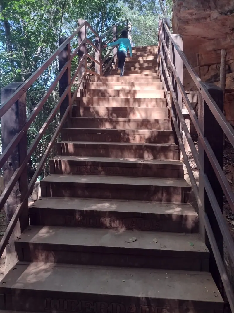 Escadaria de madeira em trilha arborizada, com visitante subindo os degraus