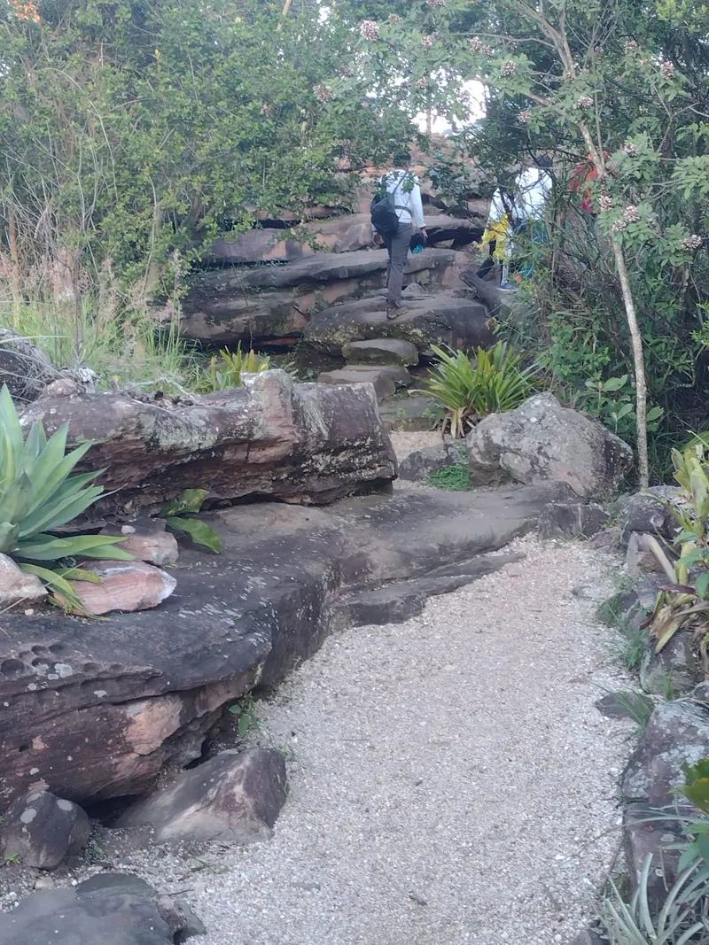 Trilha de cascalho entre formações rochosas e vegetação típica da Chapada Diamantina